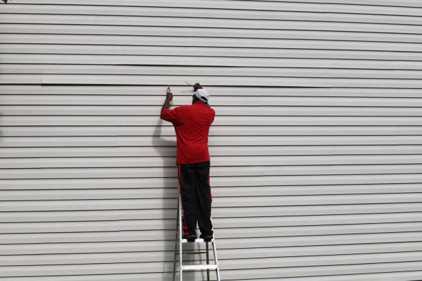 Best Vinyl Siding Installation  in Mastic, NY