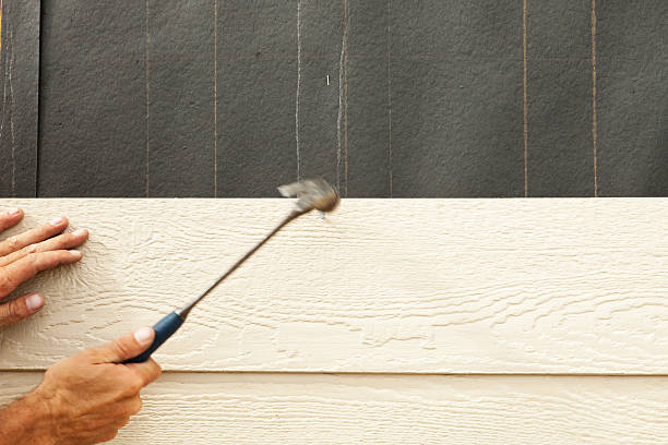 Best Fiber Cement Siding Installation  in Mastic, NY